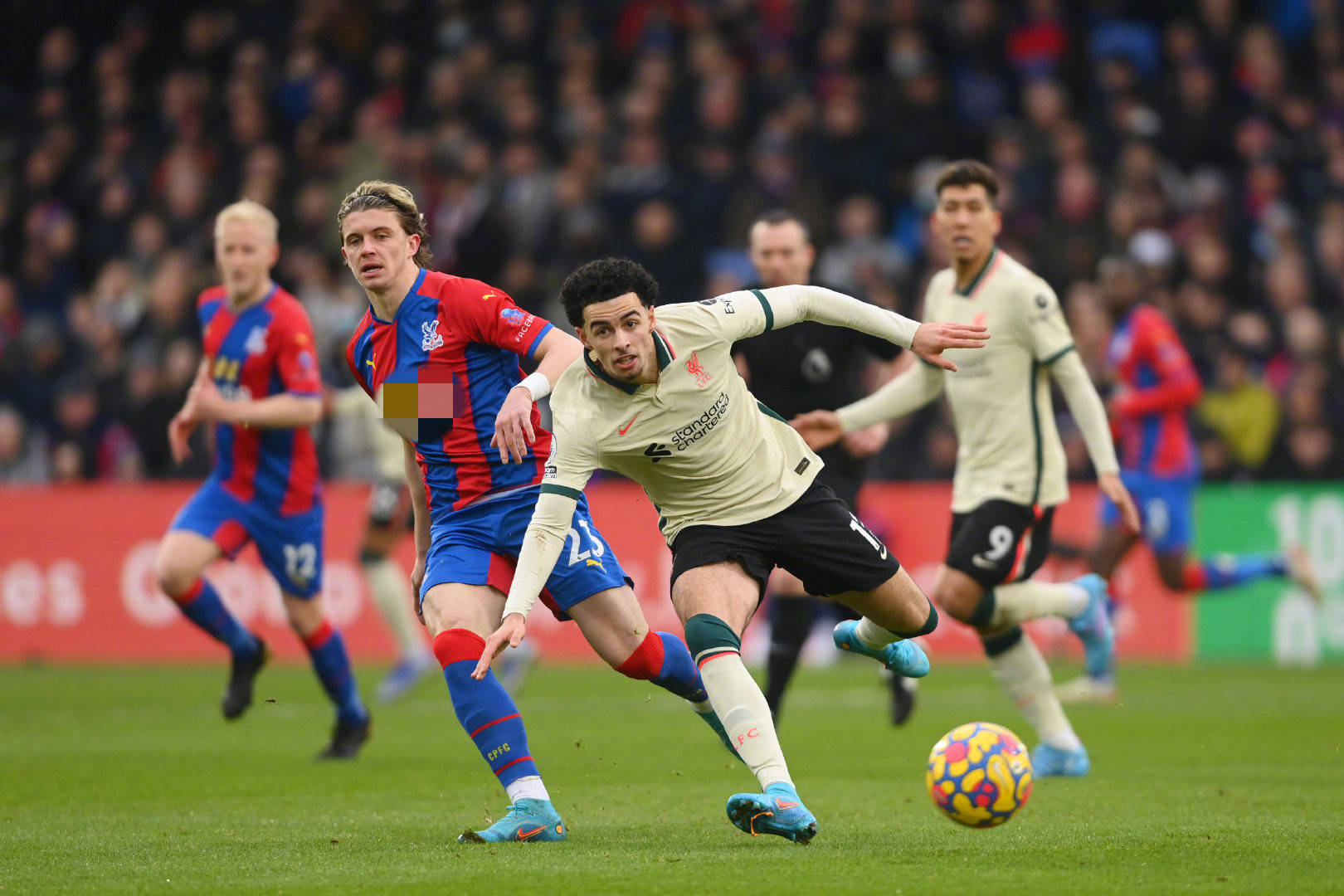 平的肯定 平的肯定